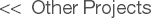 &nbsp;<< Other Projects